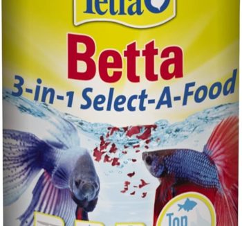 best fish food
