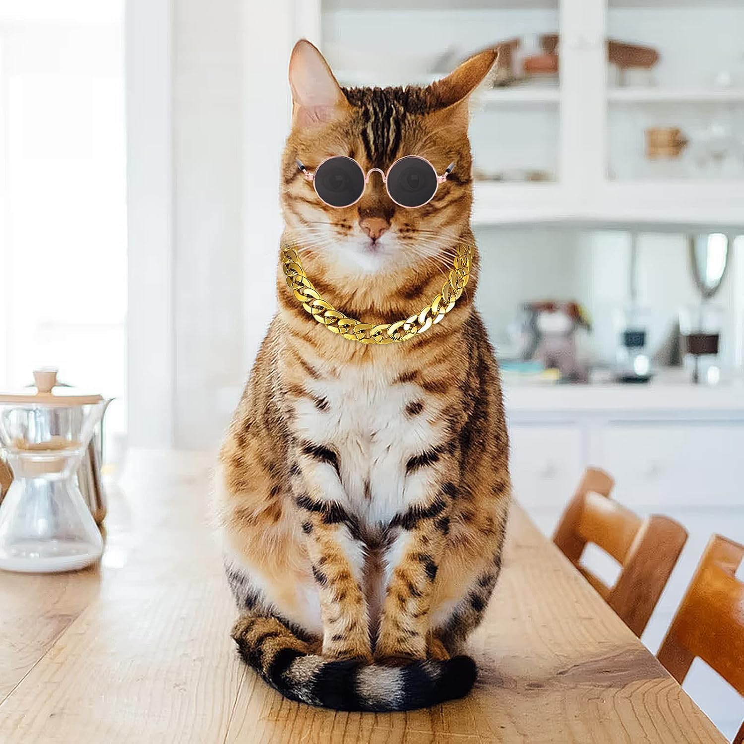 Molain Cat Sunglasses Gold Chain Costume Decorations- Cat UV Protection Classic Retro Puppy Retro Black Sunglasses Faux Gold Adjustable Chain Cosplay Costume Cool Funny Photo Props - Happypetzone.online - Image 4
