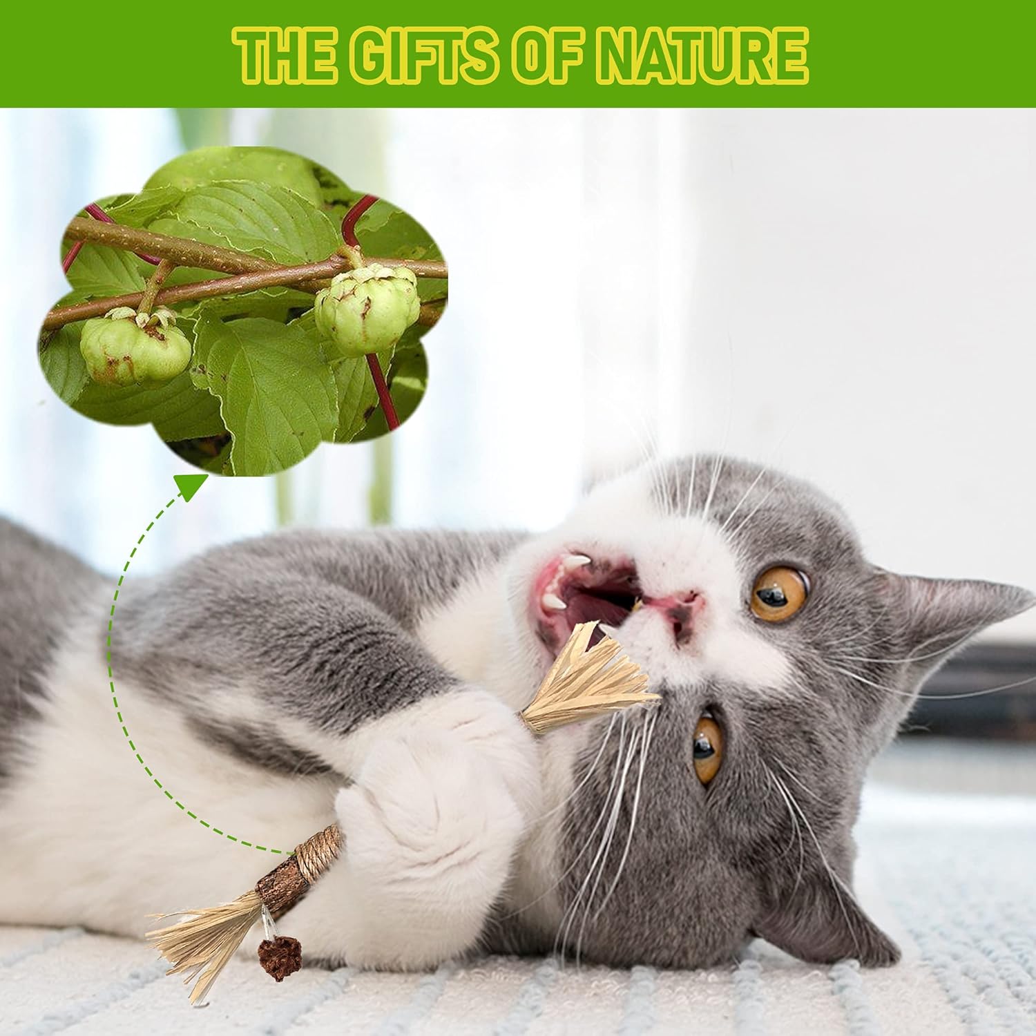 BAWAN Catnip Toys‖ Silvervine for Cats: Cute Cat & Kitten Toys for Indoor Cats Interactive‖ Cat & Kitten Teething Chew Toys for Aggressive Chewers‖ Silvervine Sticks Cat Dental Toy (1PCS) - Happypetzone.online - Image 4