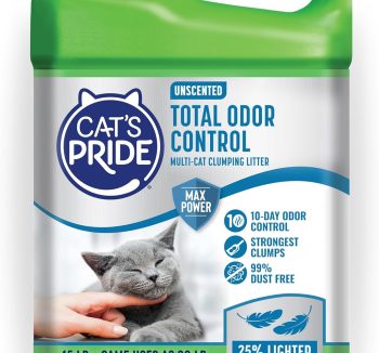 cat litter dust free