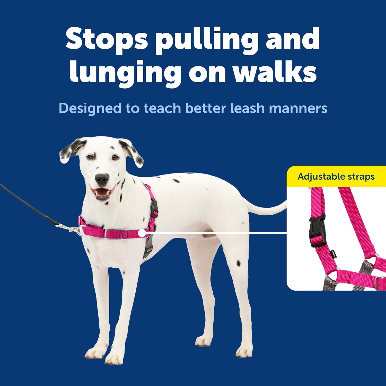 PetSafe Easy Walk No-Pull Dog Harness - Ultimate Harness to Help Stop Pulling - Pull-Free Walks - Take Control & Teach Better Leash Manners - Patented Martingale Loop Design - Raspberry, Medium/Large - Happypetzone.online - Image 3