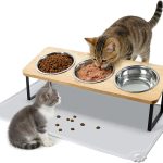 best cat food