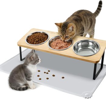 best cat food