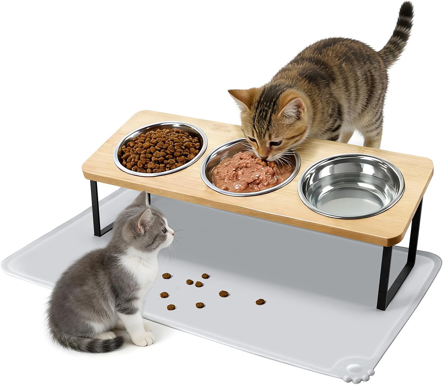best cat food