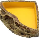reptile water dish bowl