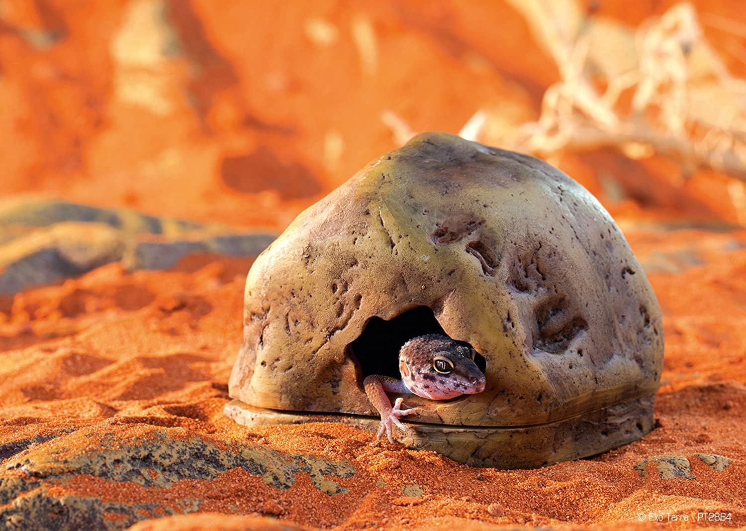Exo Terra Gecko Cave for Reptiles and Amphibians, Reptile Hideout, Medium, PT2865 - Happypetzone.online - Image 2