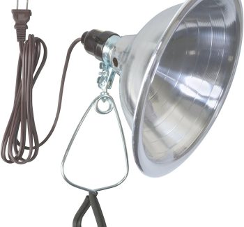 reptile light fixture