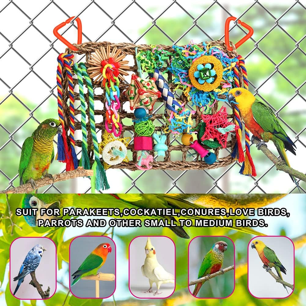 Foraging Toys for Parakeets Cockatiel Conures Lovebirds - Seagrass Wall with Various Bird Toys - Happypetzone.online - Image 6