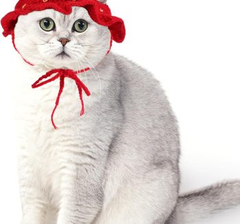 cat accessories fashion