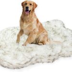 luxury dog bed