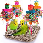 bird swing toys