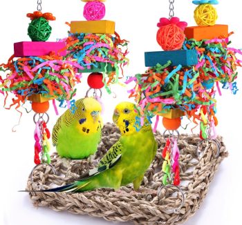 bird swing toys