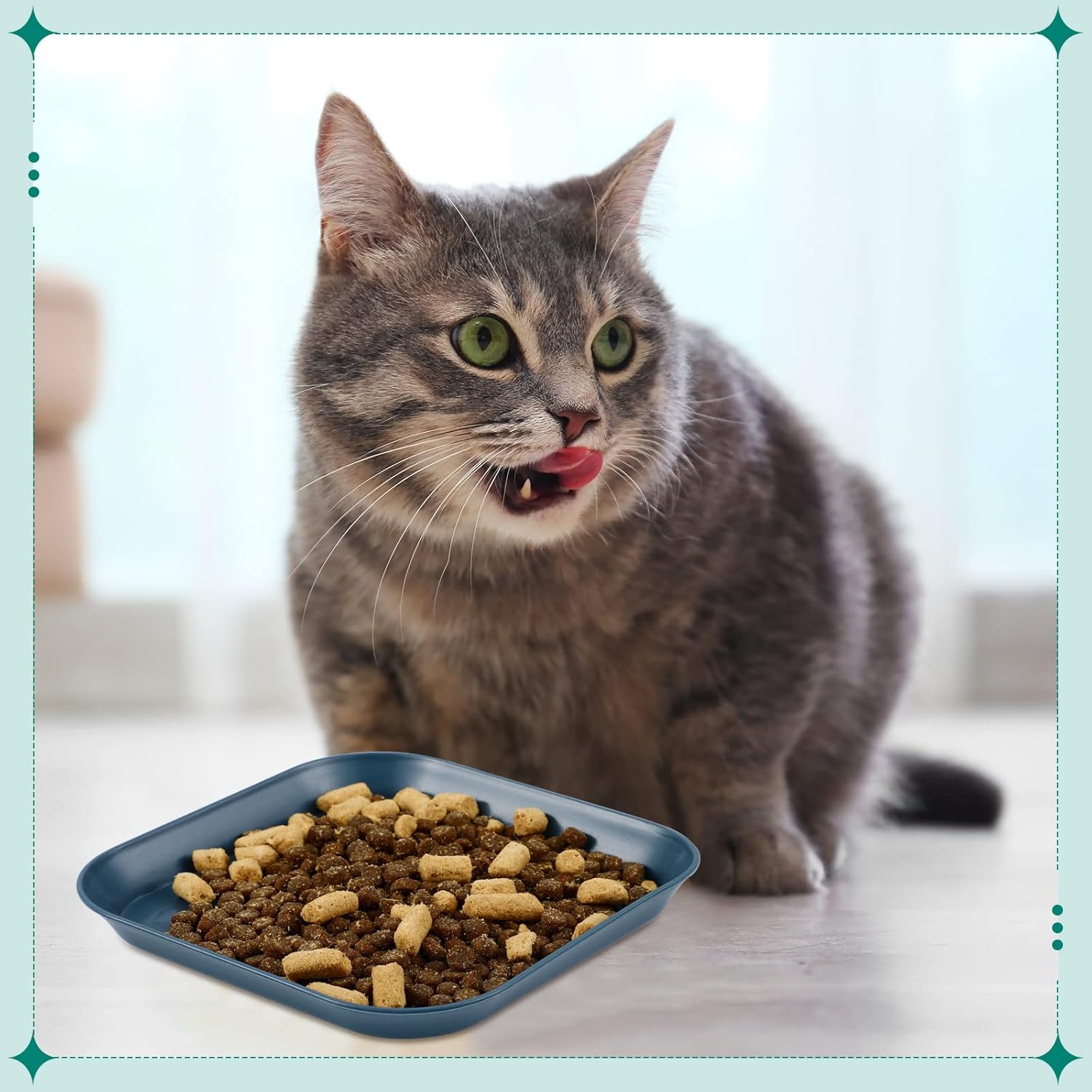 Gerrii 12 Pieces Beard Fatigue Relief Cat Bowl 6 Inch Shallow Cat Food Dish Square Wet Feeding Bowl Wide and Small Plate for Kitten and Short Legged Kitten Wheat Straw(Classic) - Happypetzone.online - Image 5