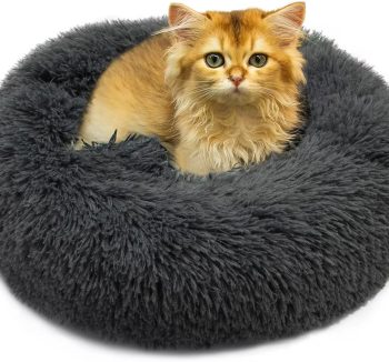 cat bed fluffy