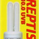uvb light reptile