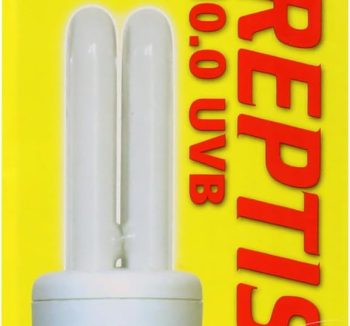 uvb light reptile
