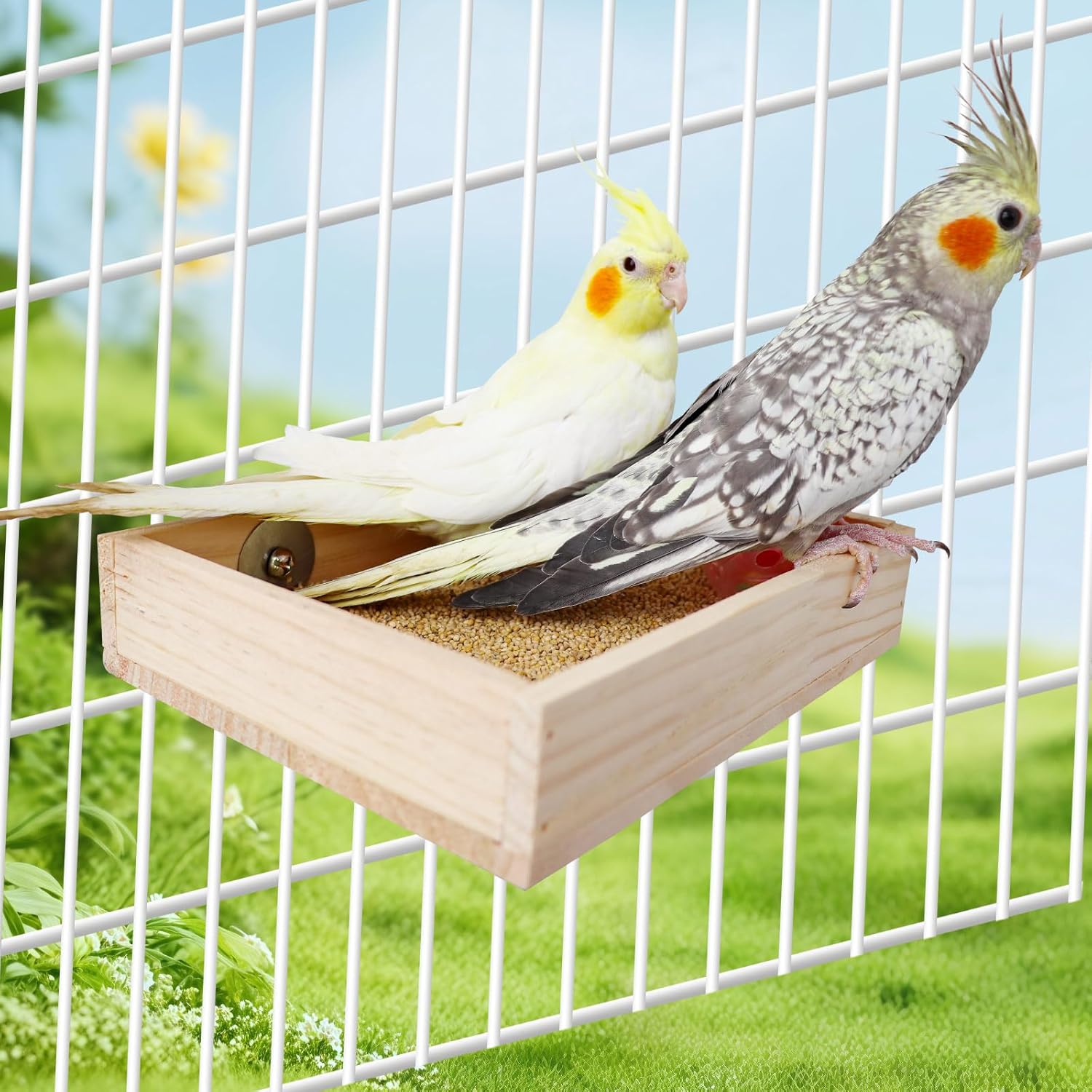 Bird Cage Accessories, Wooden Food Dish for Small to Medium Birds, Bird Feeder for Cage, Food Bowl for Budgie, Cockatiel, Lovebird, Conure, Parakeet, Canary, Kakariki - Happypetzone.online - Image 6