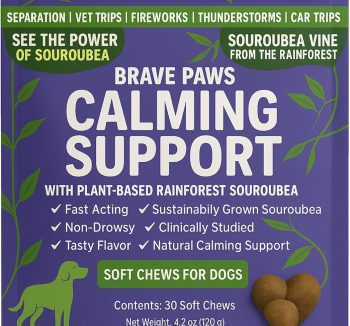 dog calming treats