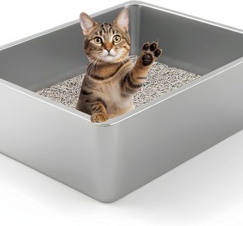 cat litter box easy clean