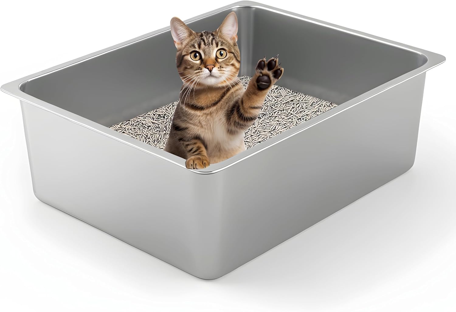 cat litter box easy clean