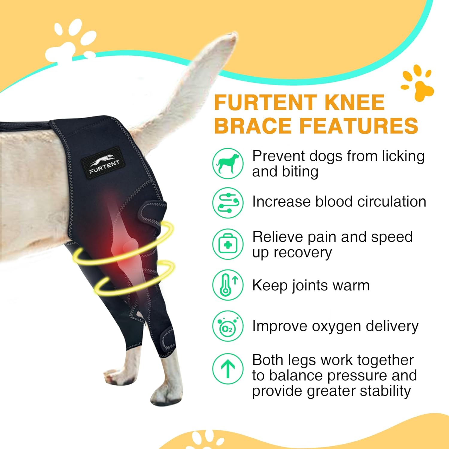 Dog Knee Brace for Torn ACL Hind Leg - Keeps Joints Warm and Stable, Upgraded Adjustable Leg Support, Dogs Rear Leg Wrap Harness Set for Leg Wound Care Prevents Licking - Happypetzone.online - Image 4