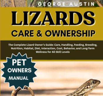 reptile food for beginners