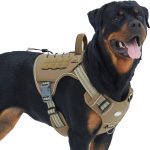dog harness for large dogs