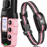 dog obedience training kit