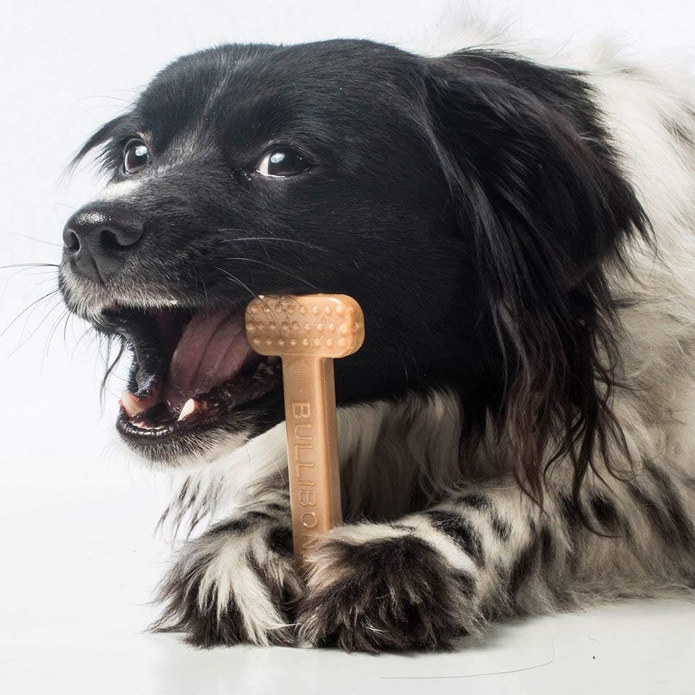 Bullibone Nylon Dog Chew Toy for Aggressive Chewers - Dental Hygiene Bone with Bacon Flavor, Durable Tough Chew Toys for Small Dogs, Indestructible Dog Bone - 2 Pack - Happypetzone.online - Image 8