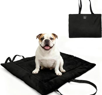 dog training mat