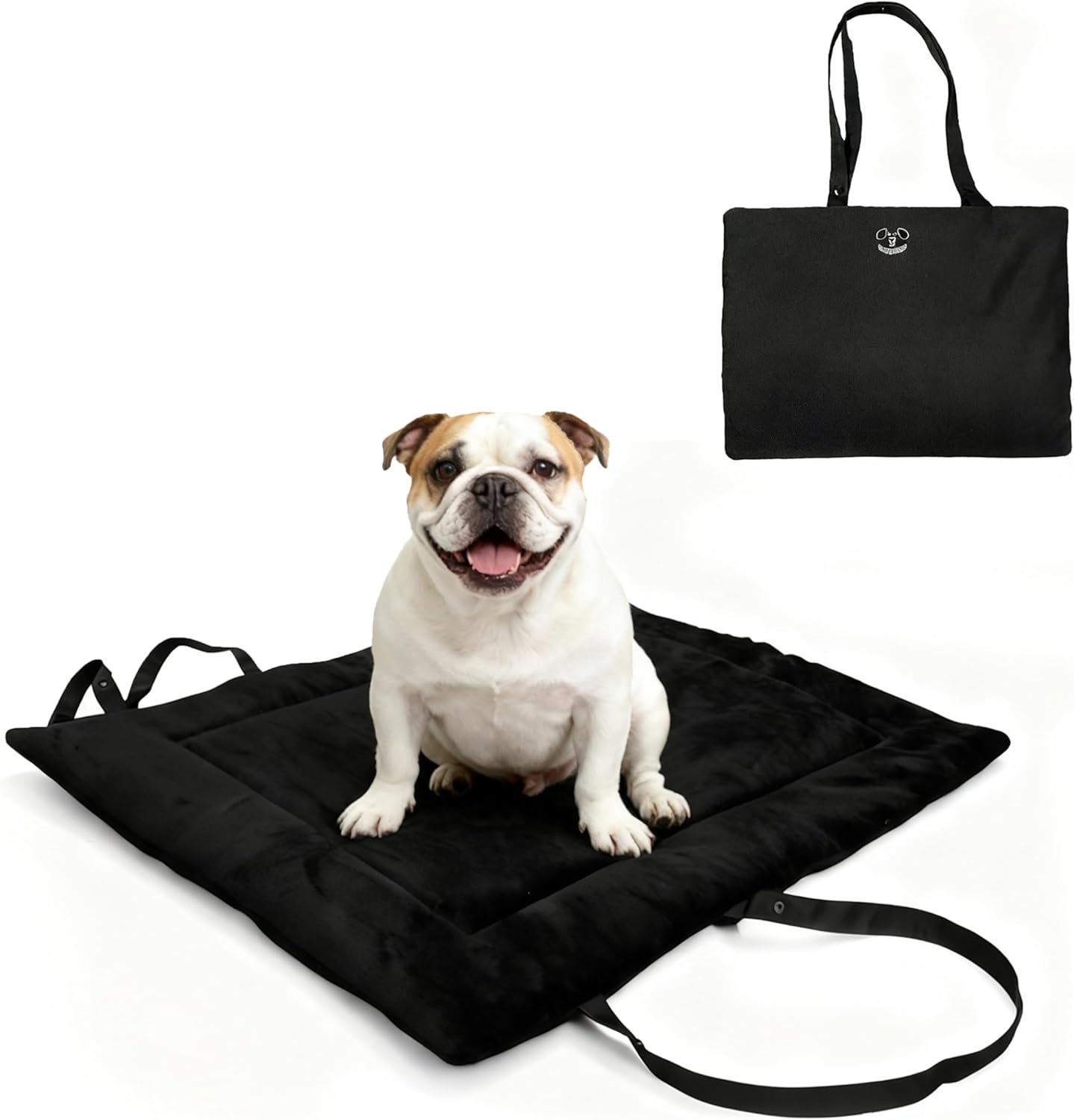 dog training mat