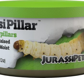 reptile food amazon best