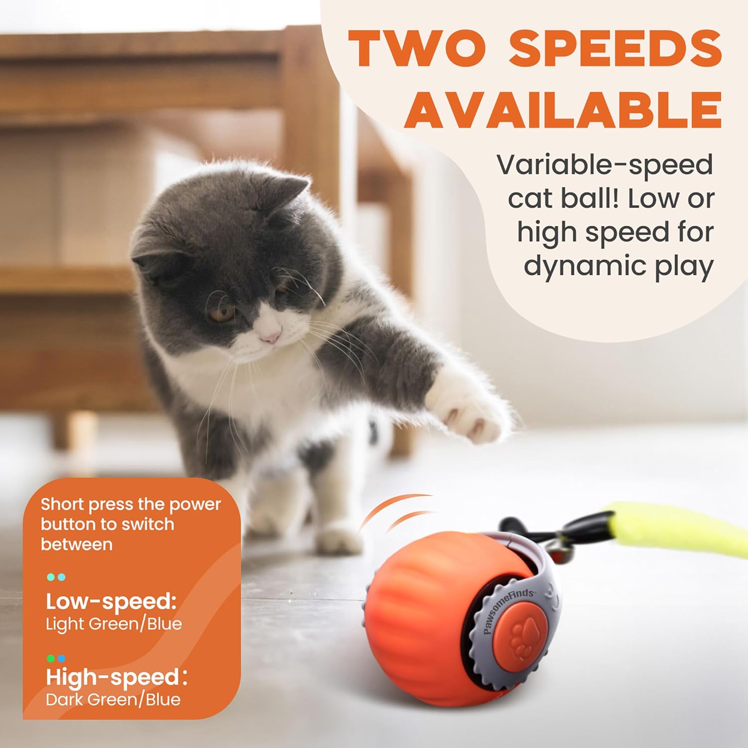 Interactive Cat Toy for Indoor Cats, Two Speed Smart Automatic Cat Toy Moving Ball with Tail, Rechargeable Motion Activated Cat Toys for Bored Indoor Adult Cats (Adapter Not Included) - Happypetzone.online - Image 2