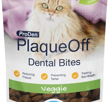 cat dental treats