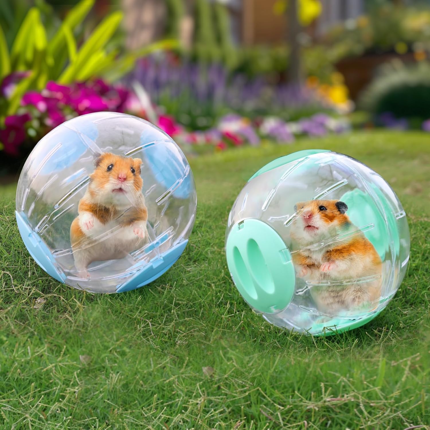 Hamster Exercise Ball, 7.9 Inch Syrian Hamster Ball, Transparent, Large Ball with Four entrances (Blue) - Happypetzone.online - Image 6