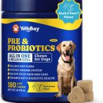 dog probiotic supplement