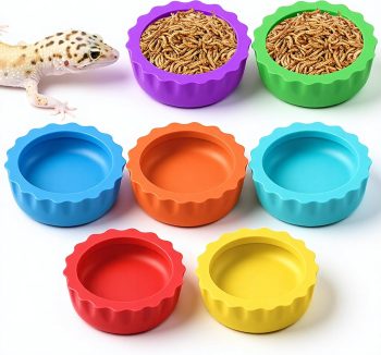 bearded dragon food