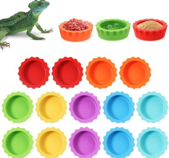 gecko food diet