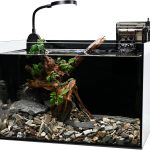 fish tank setup kit