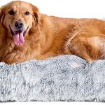 dog bed for big dogs