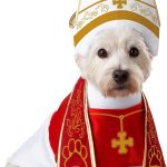 dog halloween costume