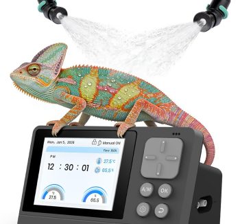 reptile tank amazon best