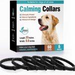 dog calming treats