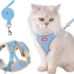 cat harness for small cats