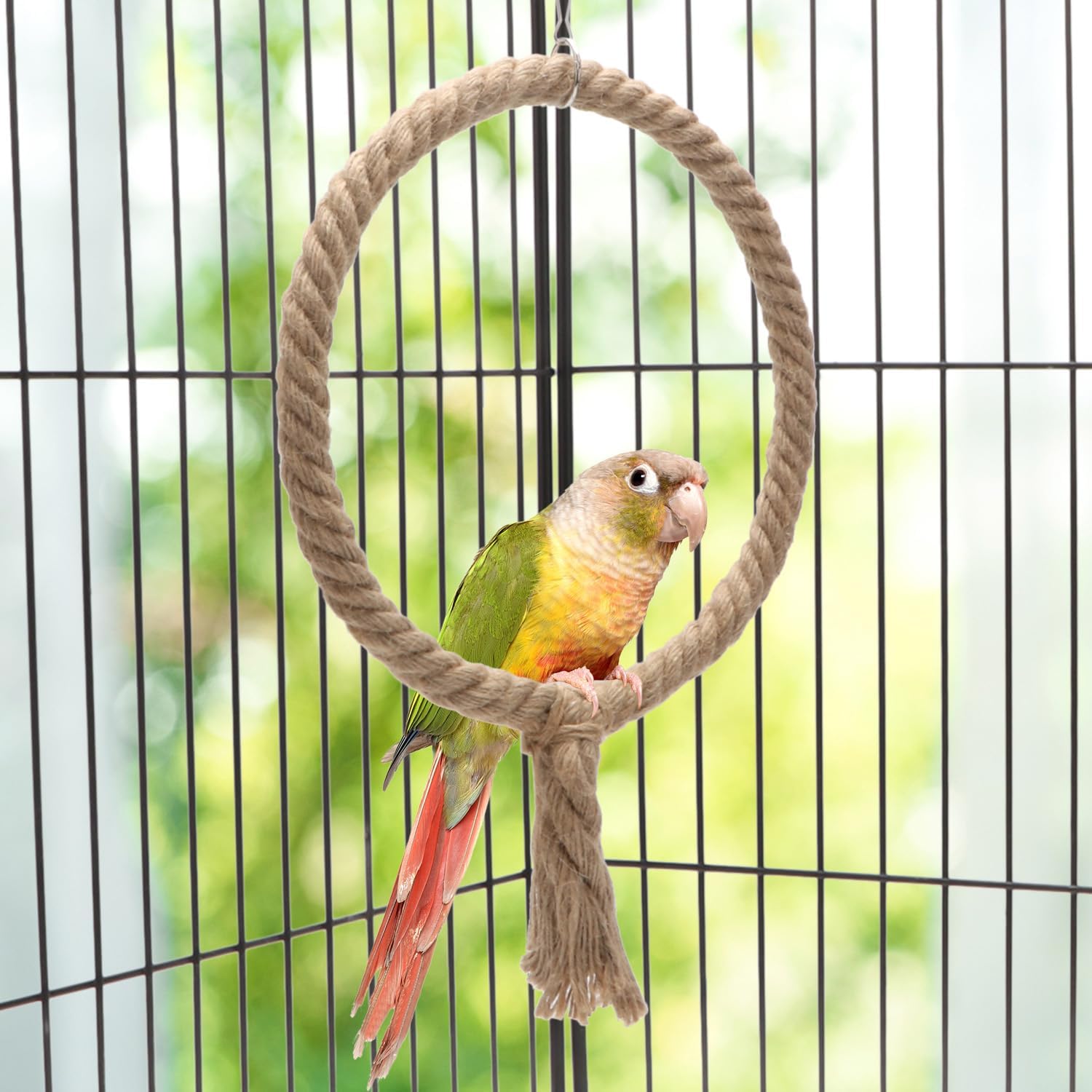 Bird Rope Swing Toy Parrot Climbing Perch Stand for Cockatiel Conure Cockatoo Parakeet Cage Hanging Decor (B: Round) - Happypetzone.online - Image 2