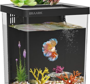 fish tank starter kit