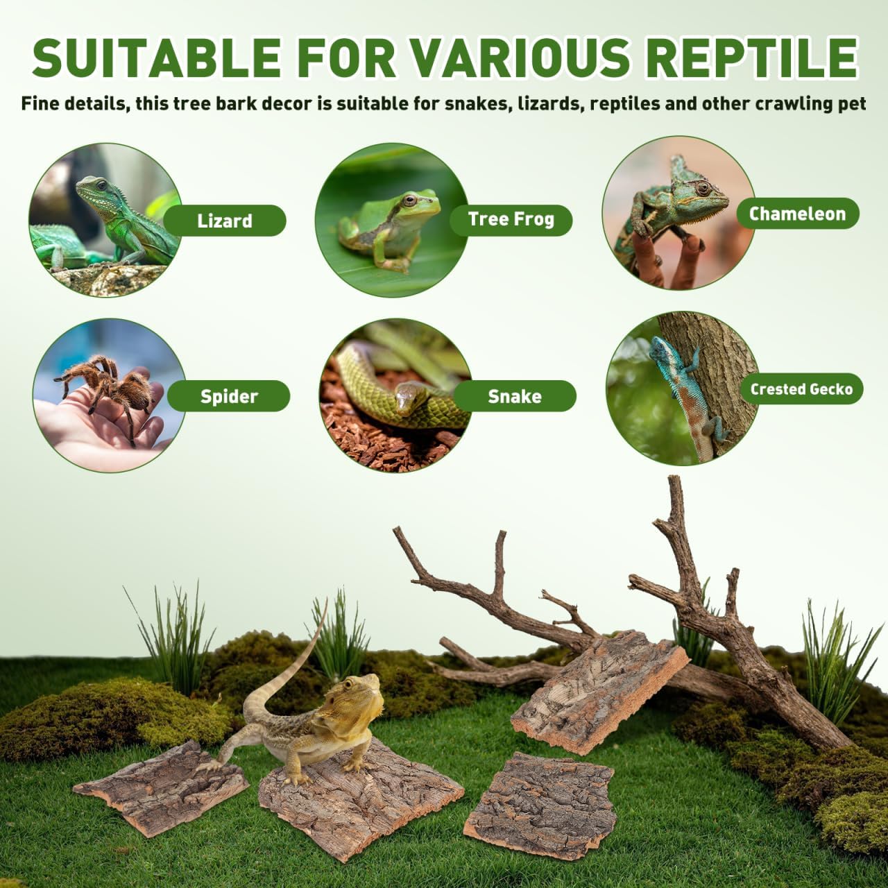 Baluue 4 Pack Reptile Cork Bark, Natural Reptile Bark Bedding for Terrarium Substrate Tank Supplies Decor for Gecko, Lizard, Tortoise, Frog, Spiders, Hermit Crabs - Happypetzone.online - Image 8