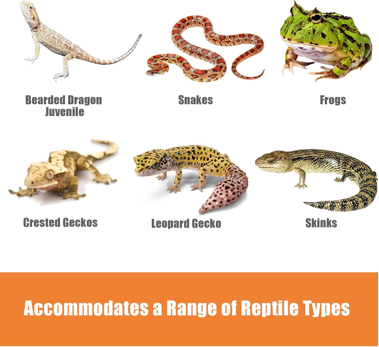 2Pcs 24"x18"Reptile Substrate Mesh, Terrarium Supplies for Reptile Tank, Bioactive Substrate Barrier for Leopard Geckos, Crested Geckos, Ball Pythons, Corn Snakes, Frogs, Skinks - Happypetzone.online - Image 6