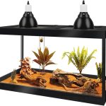 reptile tank amazon best