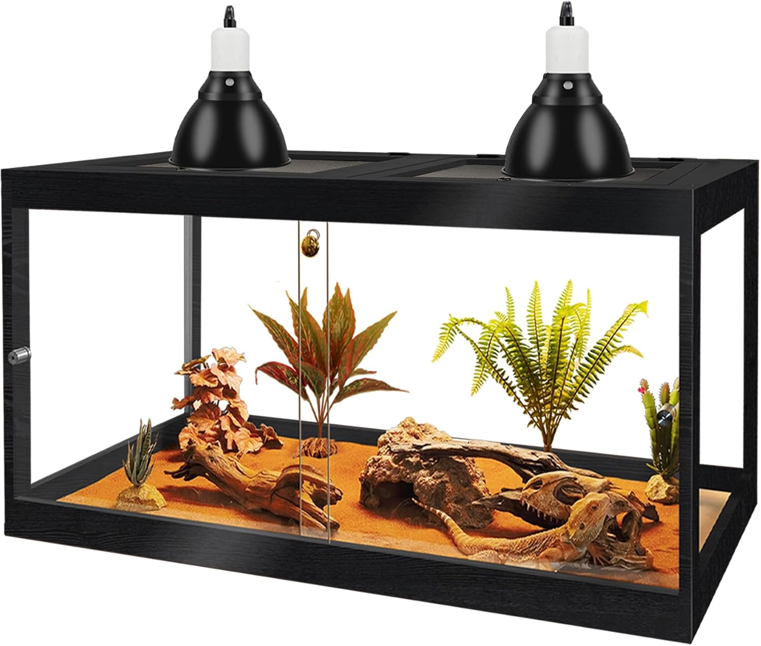 reptile tank amazon best